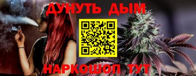 шишки Бузулук