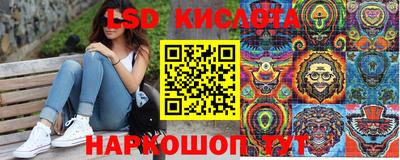 шишки Бузулук