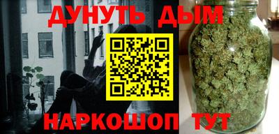 индика Будённовск