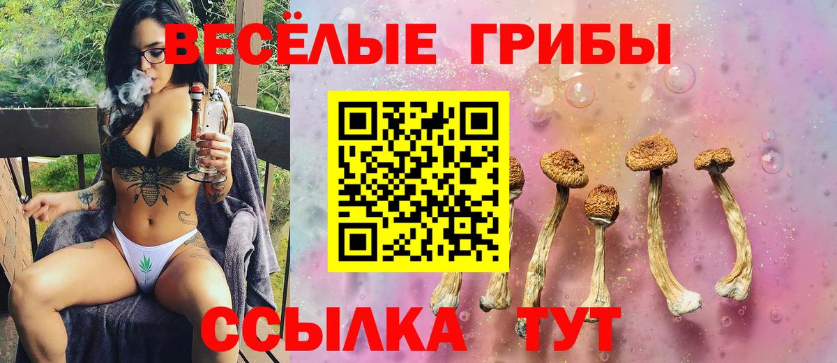 Галлюциногенные грибы MAGIC MUSHROOMS  Вход с VPN  Сокол 