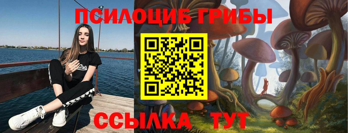 Галлюциногенные грибы Magic Shrooms Сокол